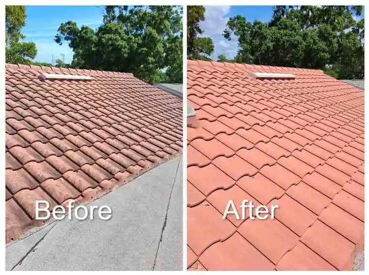 Roof top cleaning