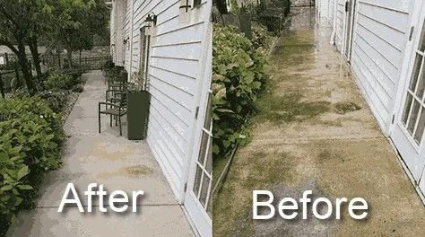 siding cleaning