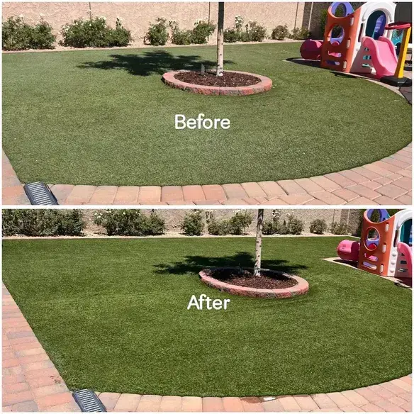 Pet odour removal Las Vegas