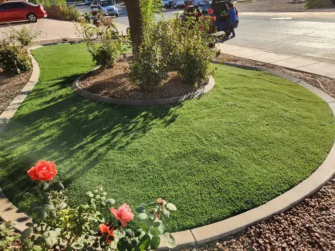 Yard cleaning Las Vegas
